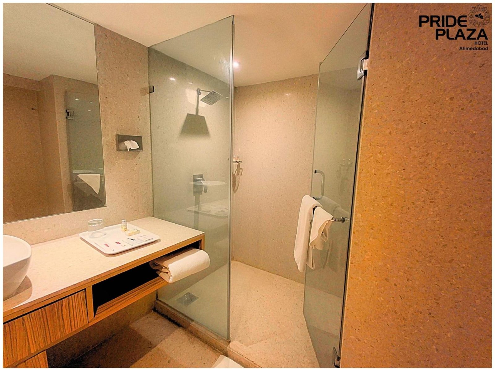 Pride Plaza Hotel, Ahmedabad — photo 4