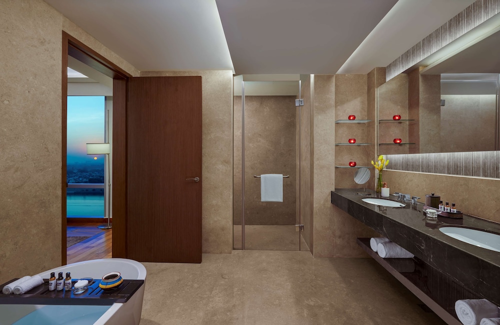 Hyatt Regency Ahmedabad — photo 3